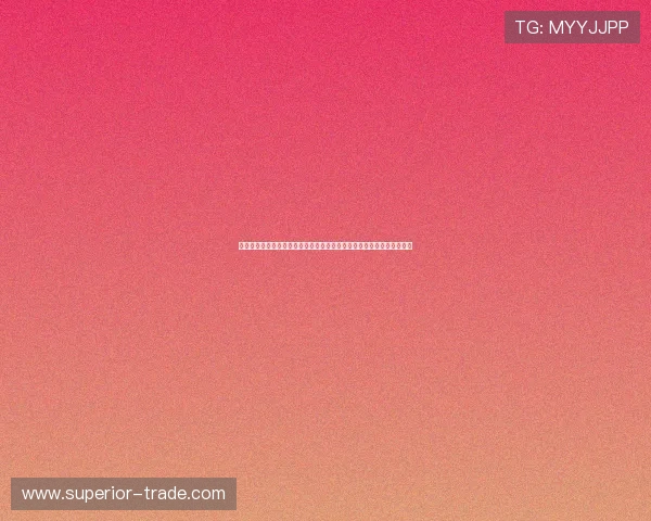 中超联赛大连队重整旗鼓激活城市足球激情新赛季展望全面冲击更高目标